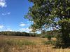 0 Nebo Road photo